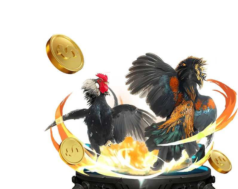 Hoàn Trả Cược Thể Thao Hàng Ngày